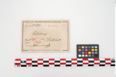 Etikett zu Bronzearmreif (NHMW-PRAE-024601)